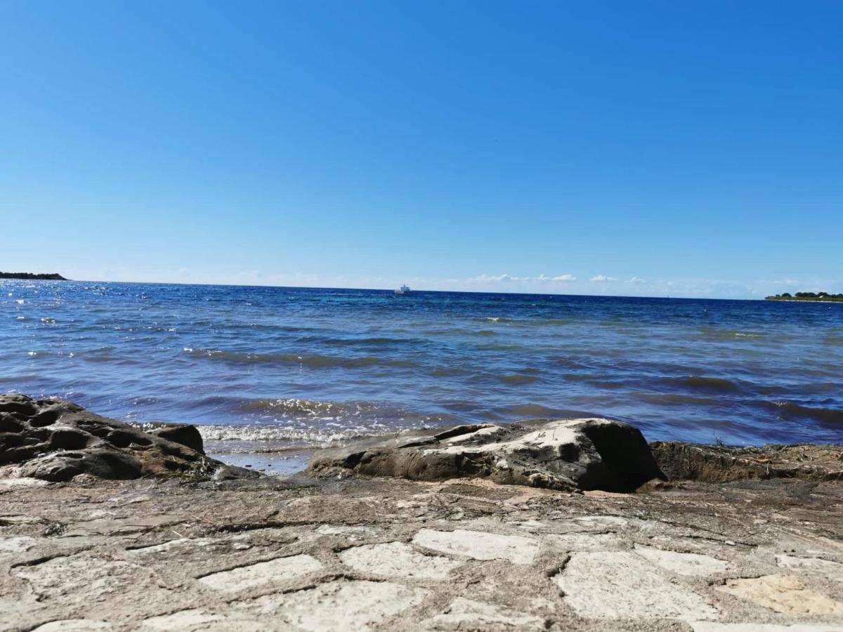 App Palcic K Apartman Novigrad Istria Kültér fotó