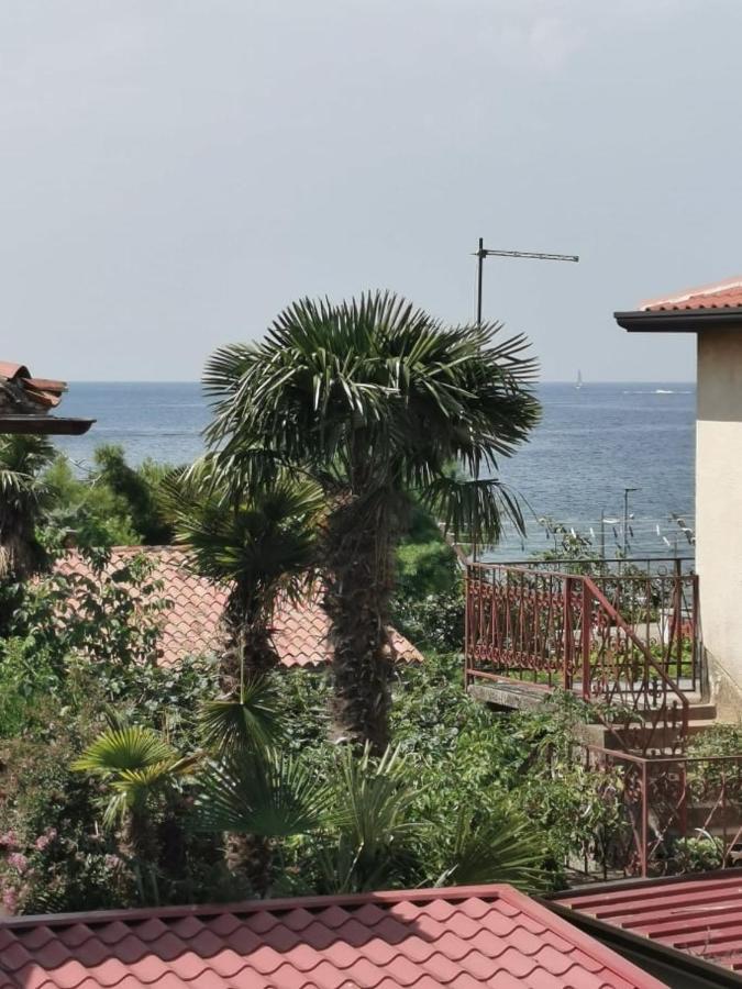 App Palcic K Apartman Novigrad Istria Kültér fotó
