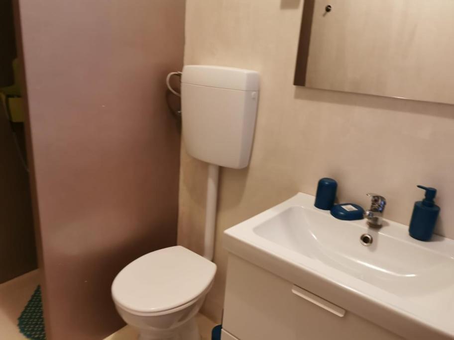 App Palcic K Apartman Novigrad Istria Kültér fotó