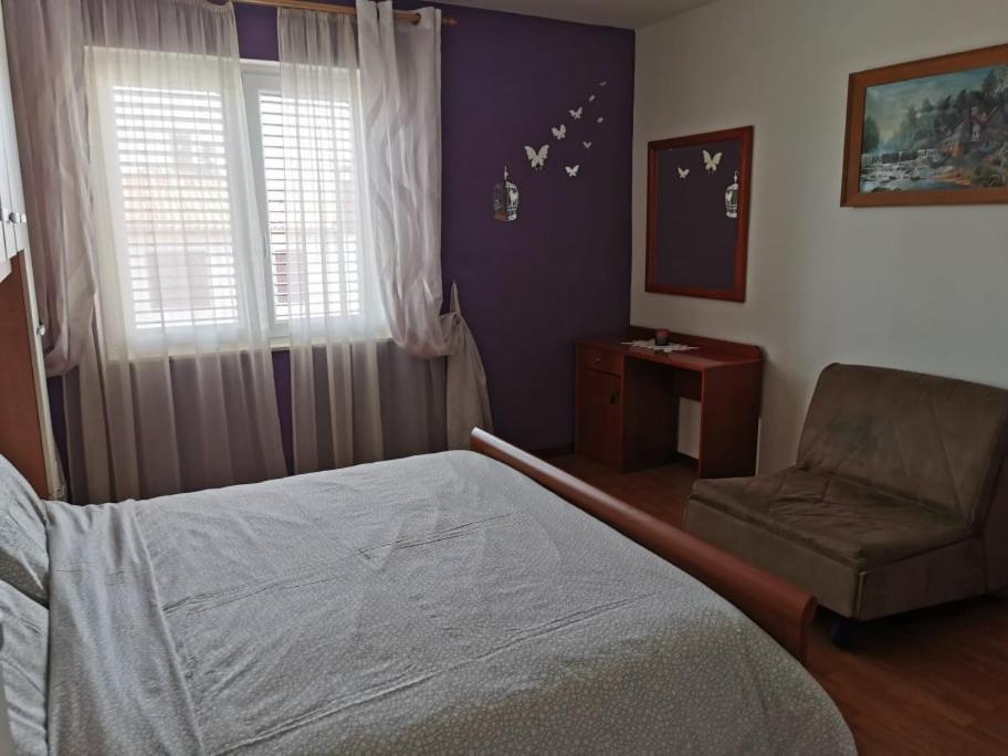 App Palcic K Apartman Novigrad Istria Kültér fotó