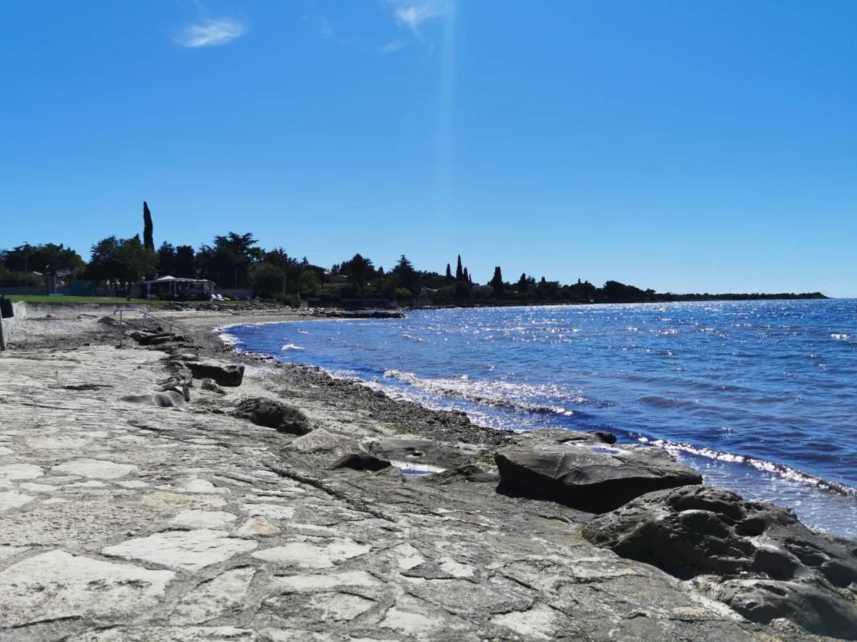 App Palcic K Apartman Novigrad Istria Kültér fotó