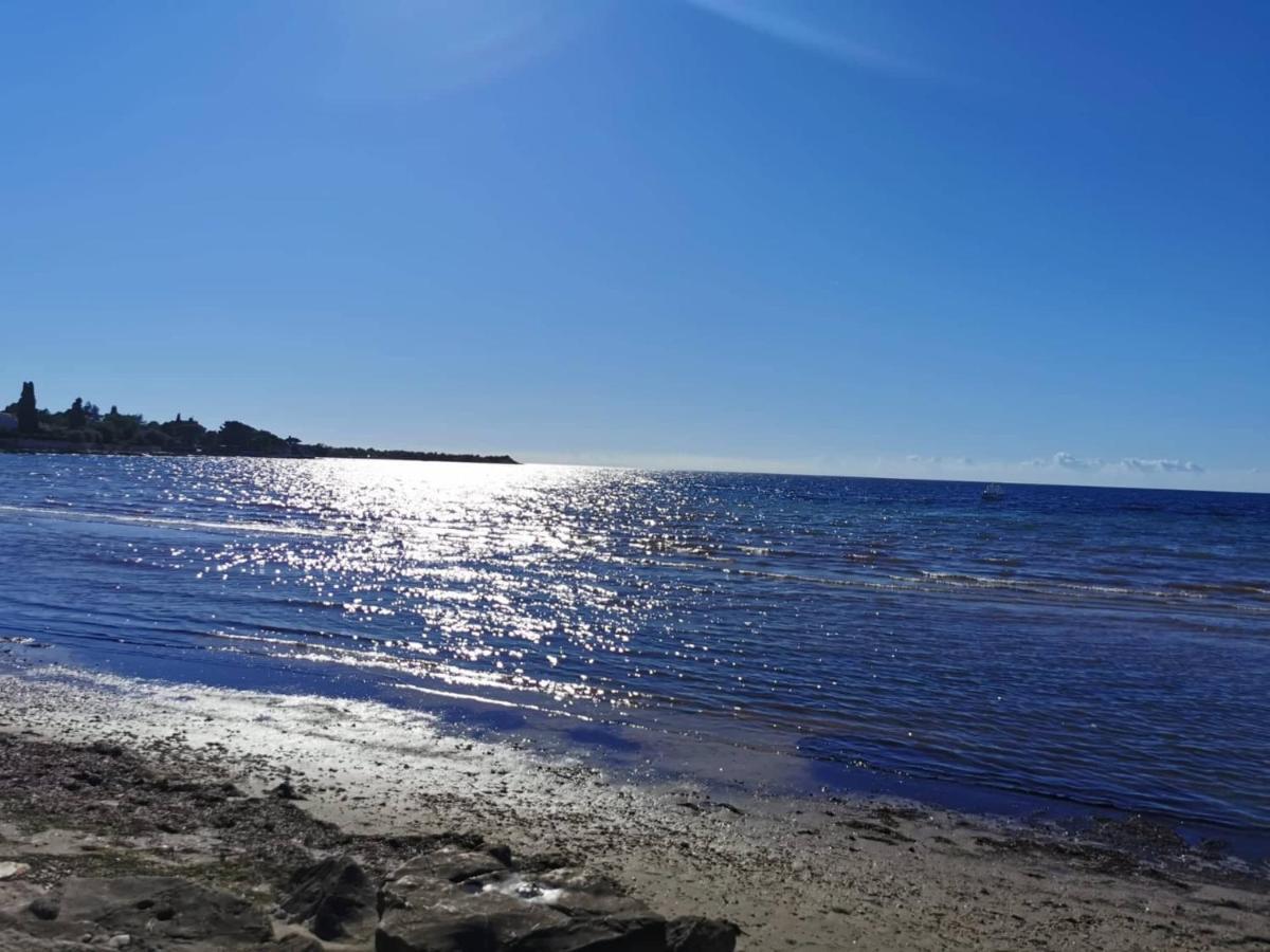 App Palcic K Apartman Novigrad Istria Kültér fotó