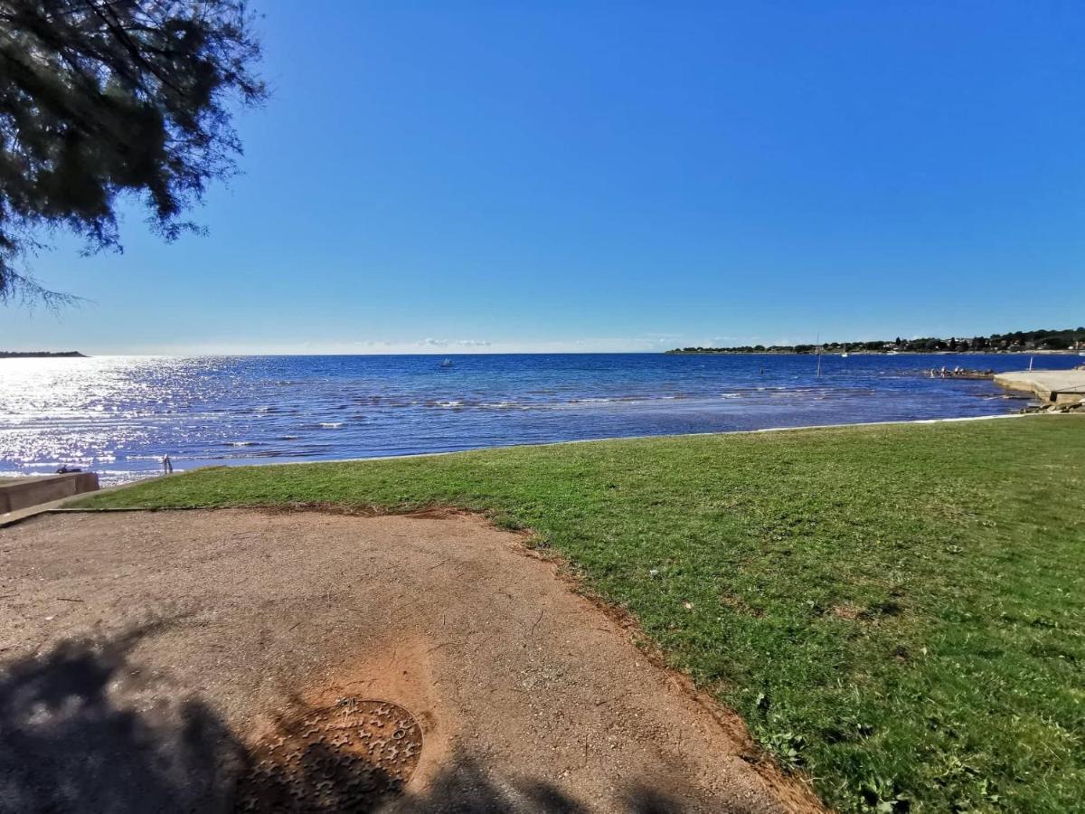 App Palcic K Apartman Novigrad Istria Kültér fotó