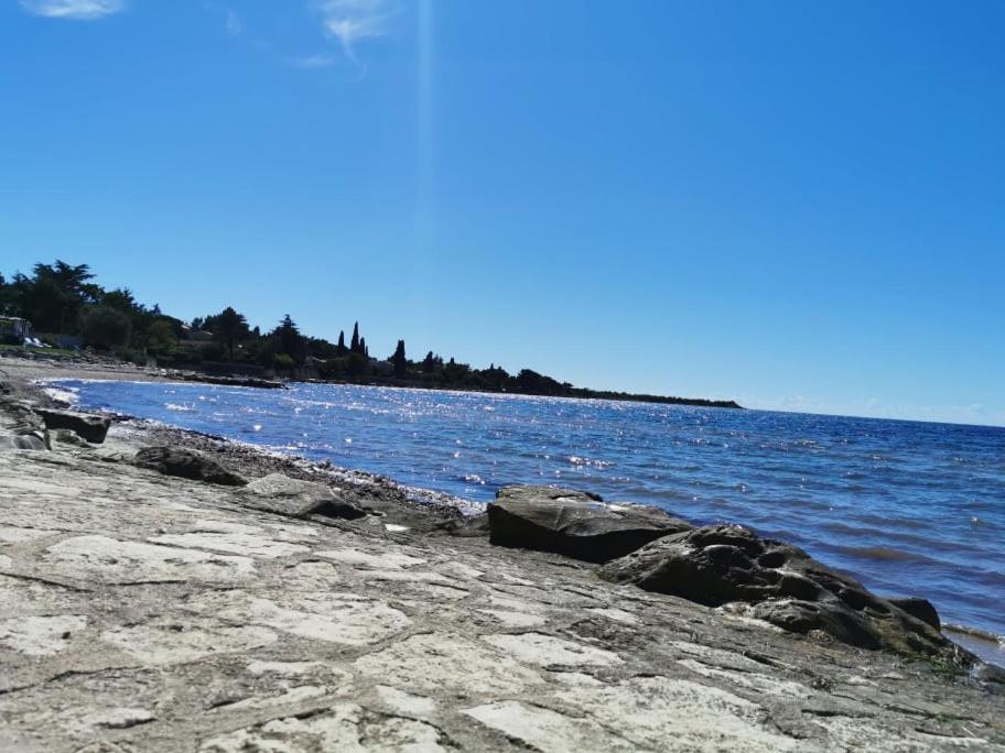 App Palcic K Apartman Novigrad Istria Kültér fotó