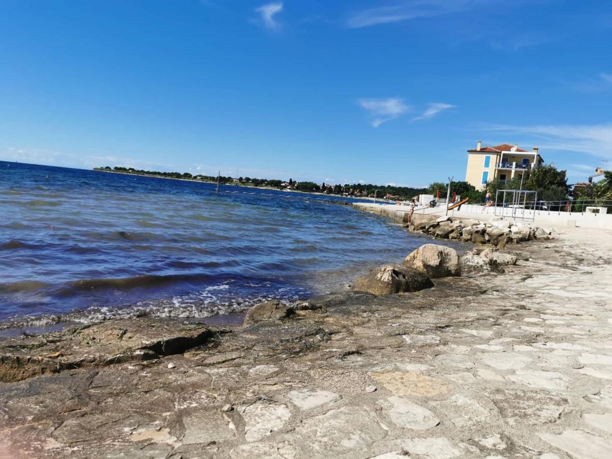 App Palcic K Apartman Novigrad Istria Kültér fotó