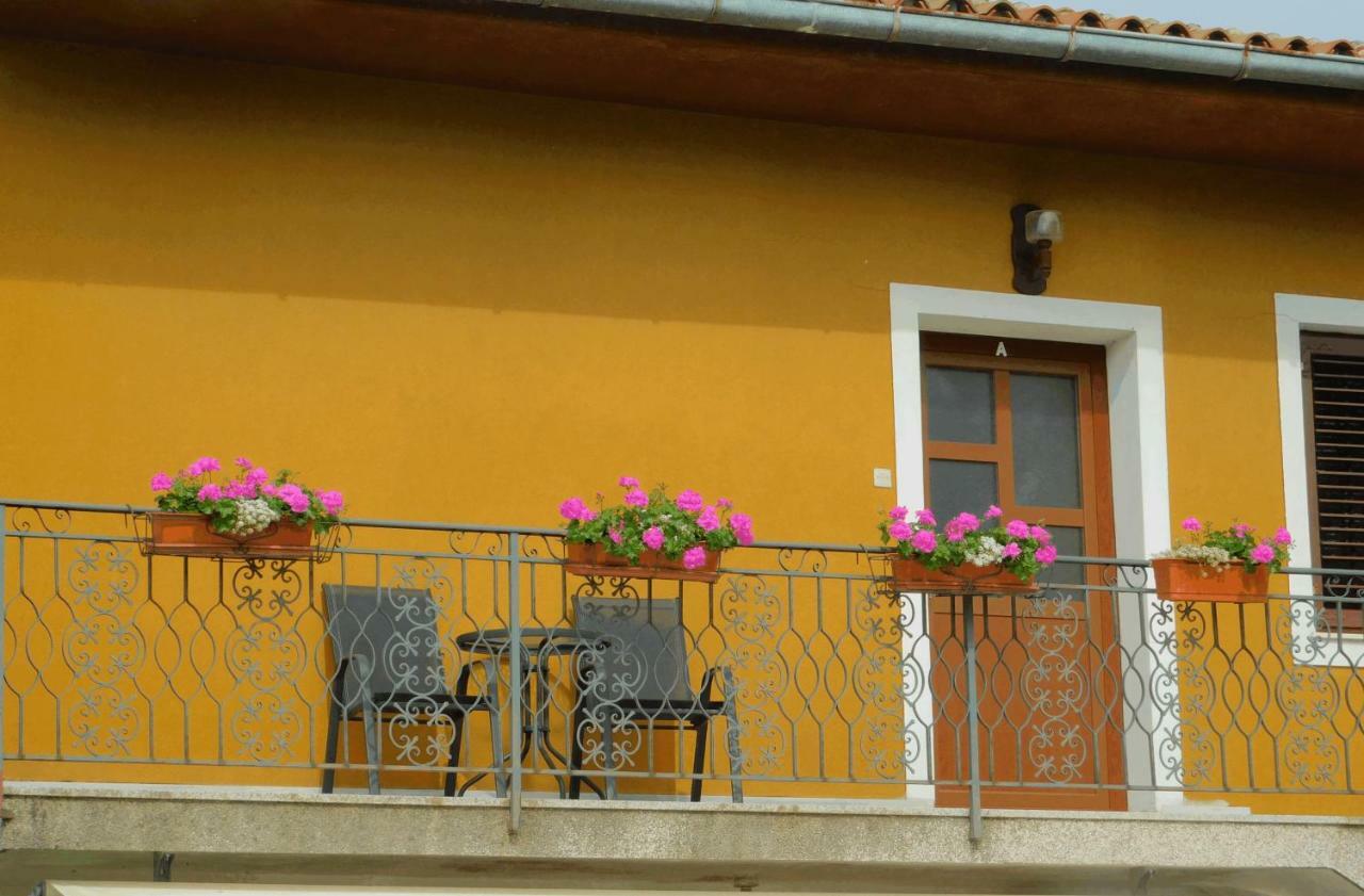 App Palcic K Apartman Novigrad Istria Kültér fotó